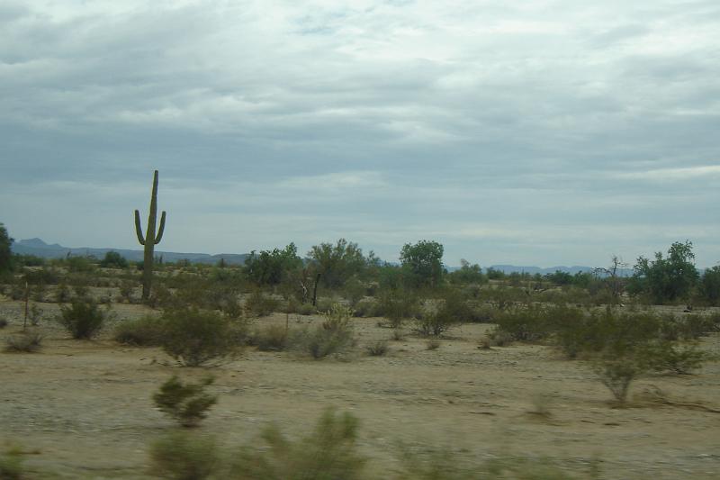DSC01538.JPG