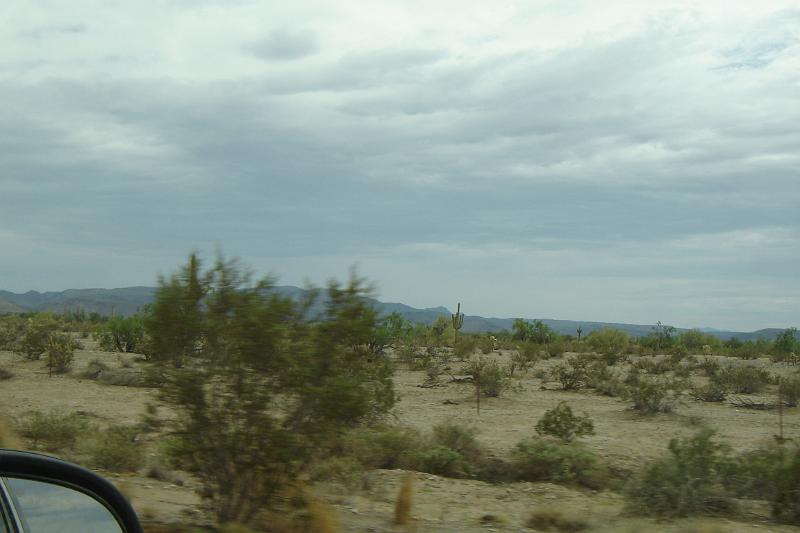 DSC01539.JPG