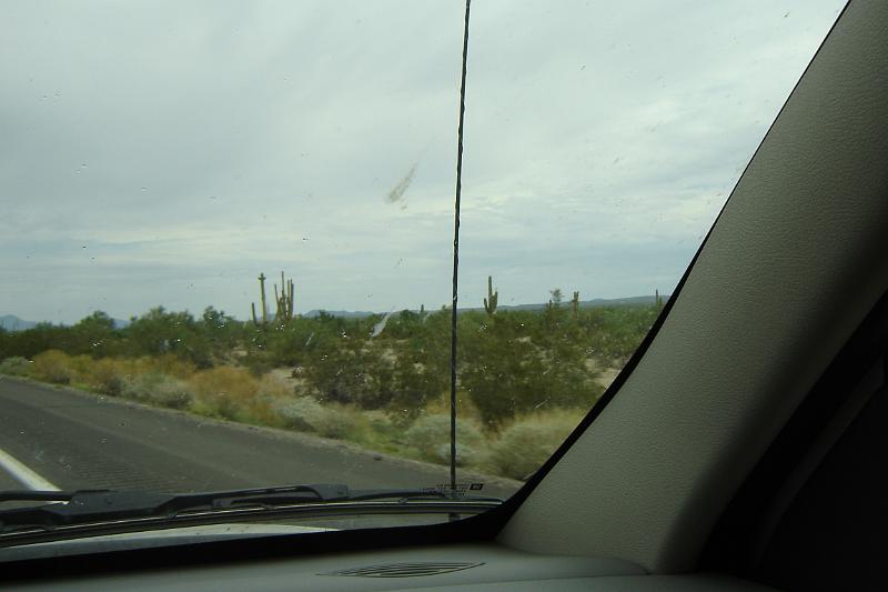 DSC01541.JPG