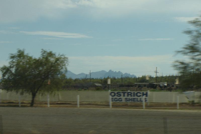DSC01547.JPG