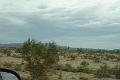 DSC01539