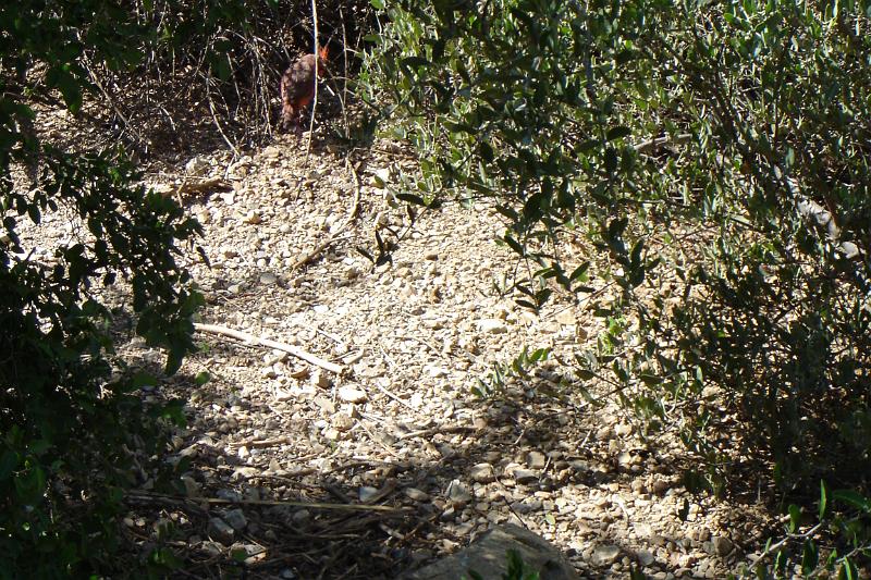 DSC01652.JPG