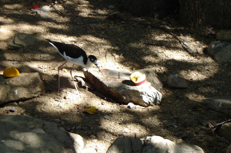 DSC01654.JPG