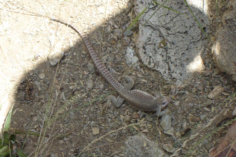 DSC01672.JPG