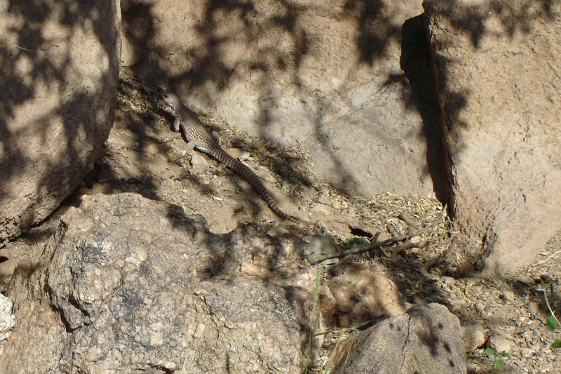 DSC01673.JPG