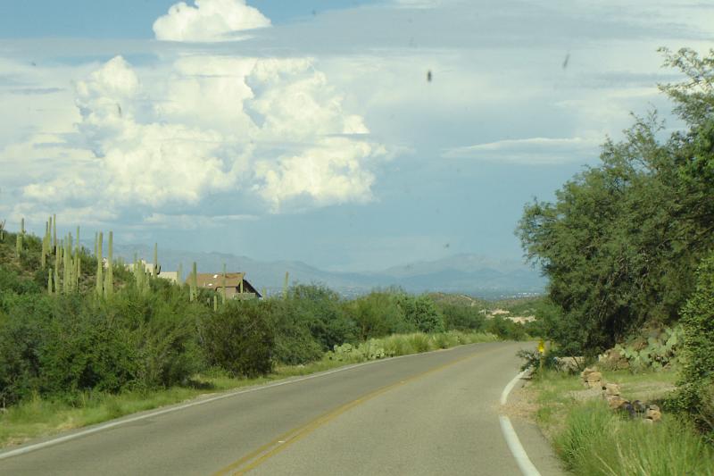 DSC01677.JPG