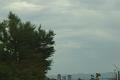 DSC01619
