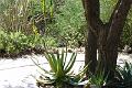DSC01667