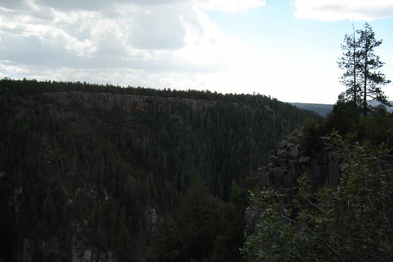 DSC01972.JPG