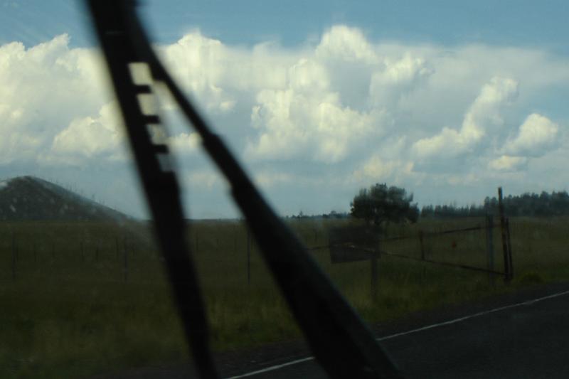 DSC02009.JPG