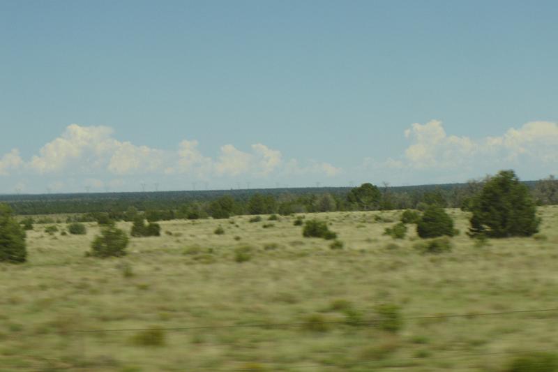 DSC02016.JPG