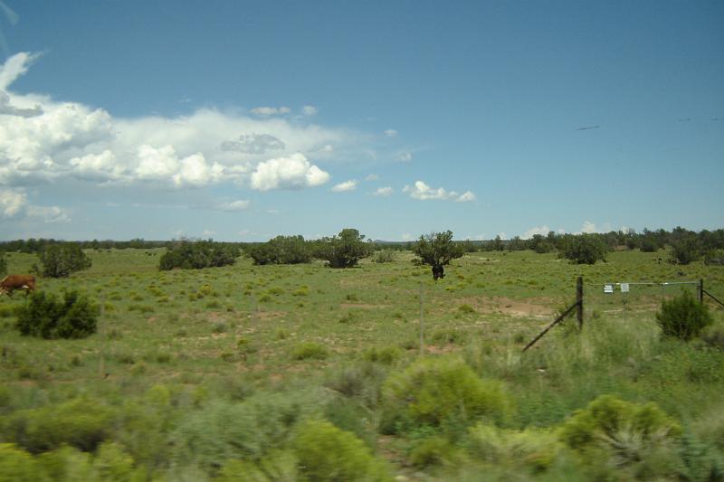 DSC02022.JPG