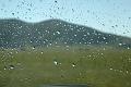 DSC02010
