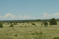 DSC02016
