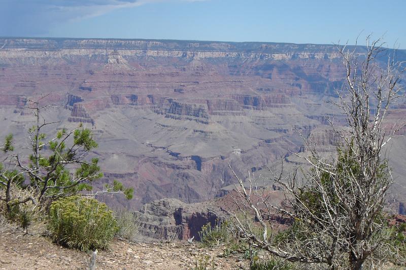 DSC02073.JPG