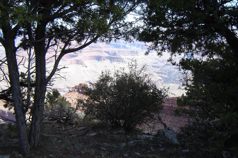 DSC02104.JPG