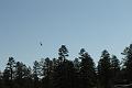 DSC02051