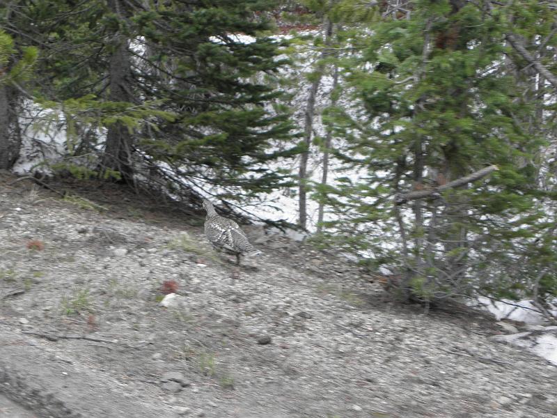 P6061267.JPG