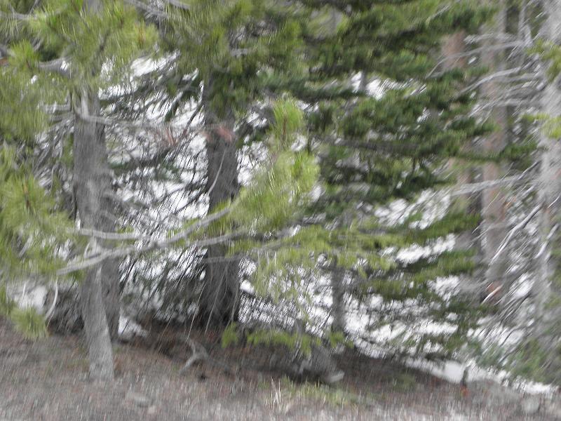 P6061268.JPG