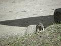 P6061252