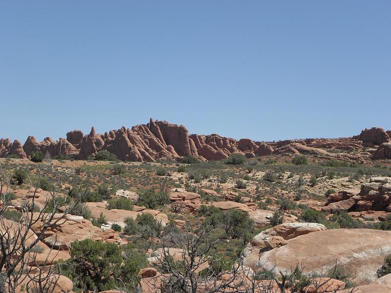 P6081470.JPG