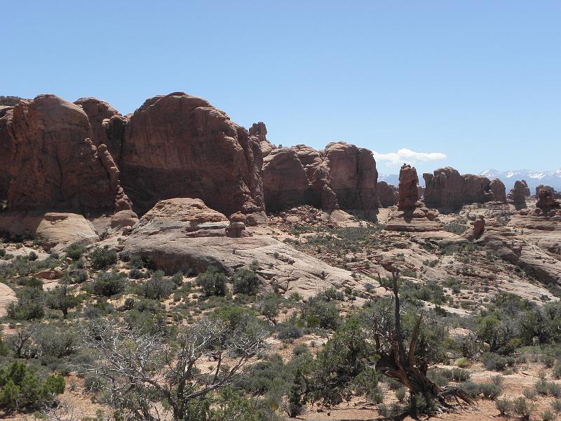 P6081480.JPG