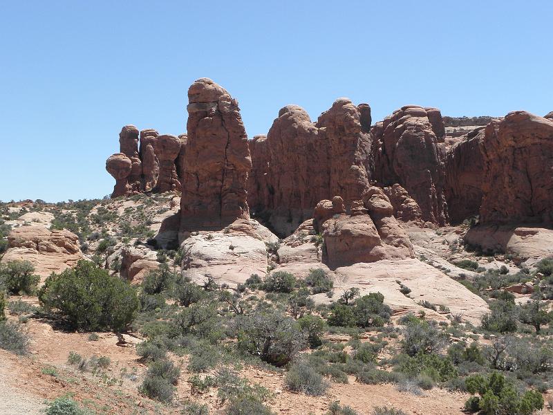 P6081481.JPG