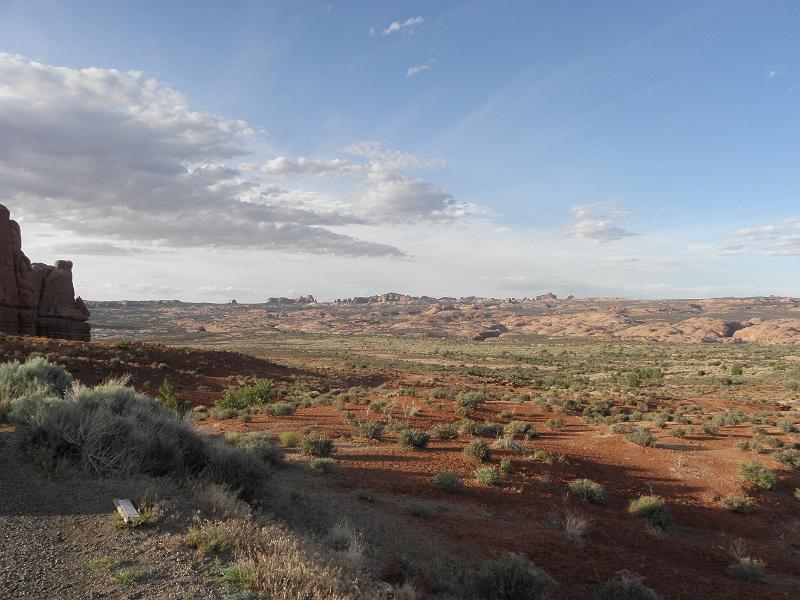 P6091540.JPG