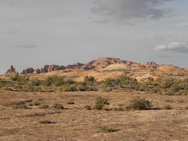 P6091551.JPG