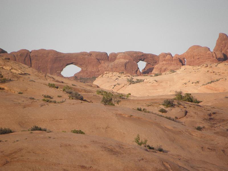 P6091554.JPG