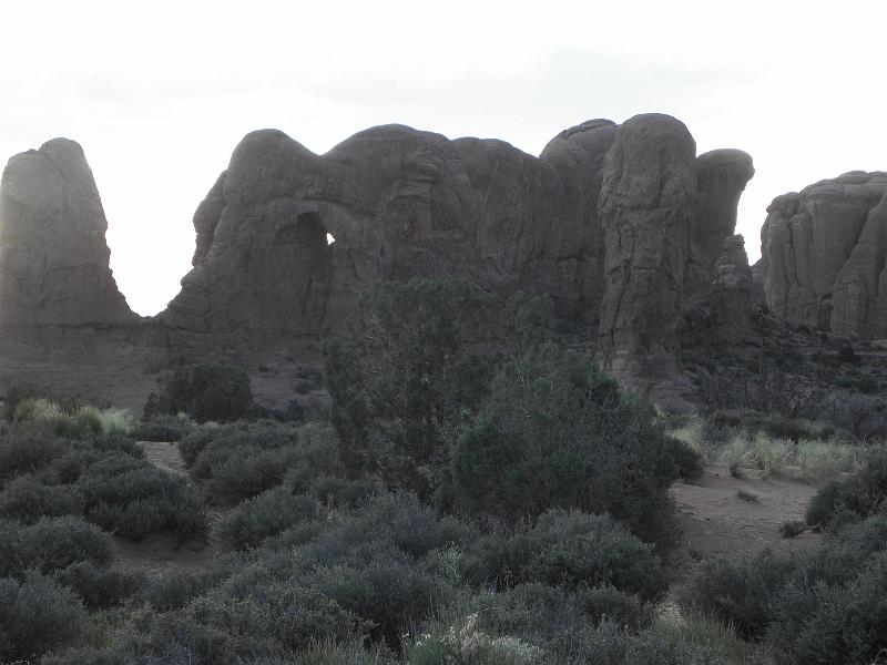 P6091578.JPG