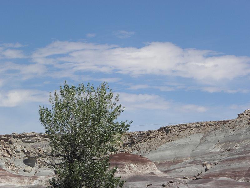 P6091667.JPG