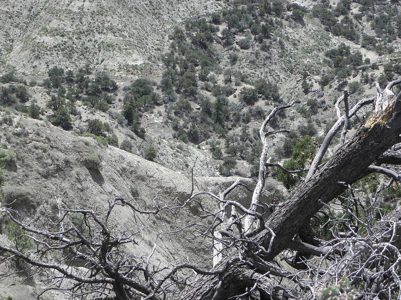 P6091724.JPG