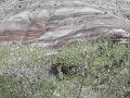 P6091683
