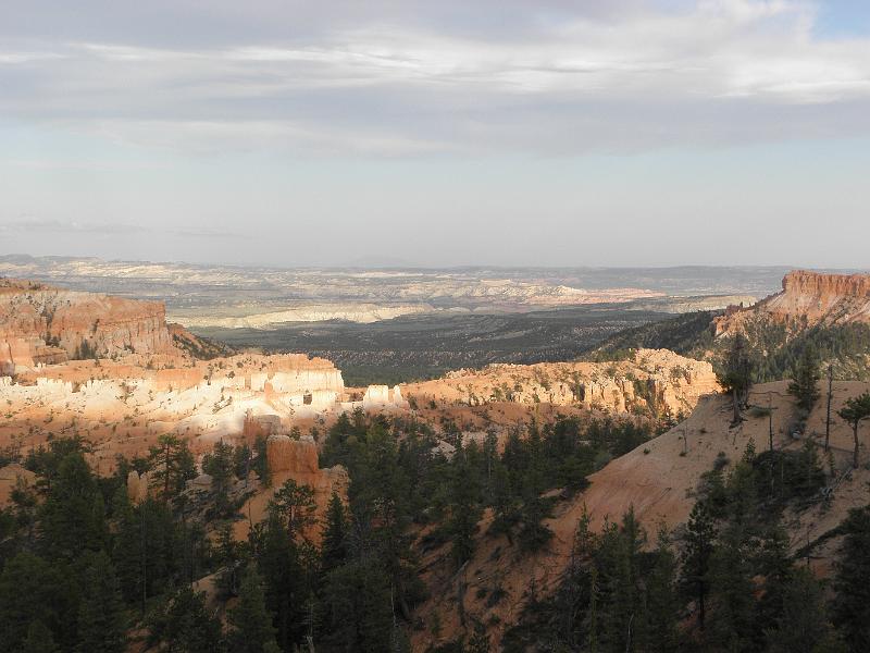 P6111859.JPG