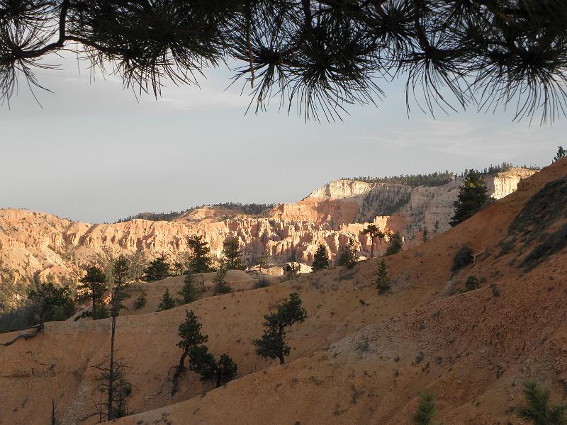 P6111861.JPG