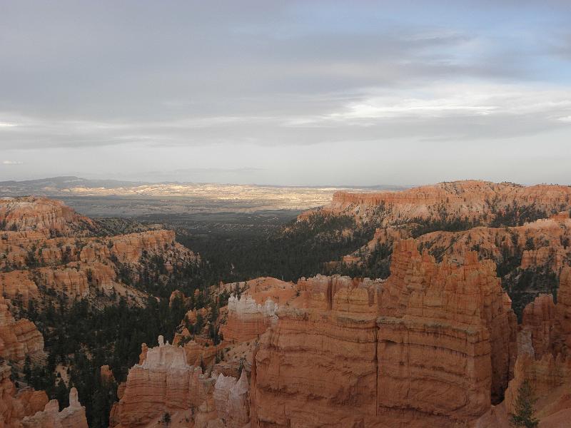 P6111862.JPG