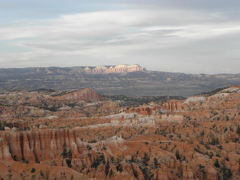 P6111863.JPG
