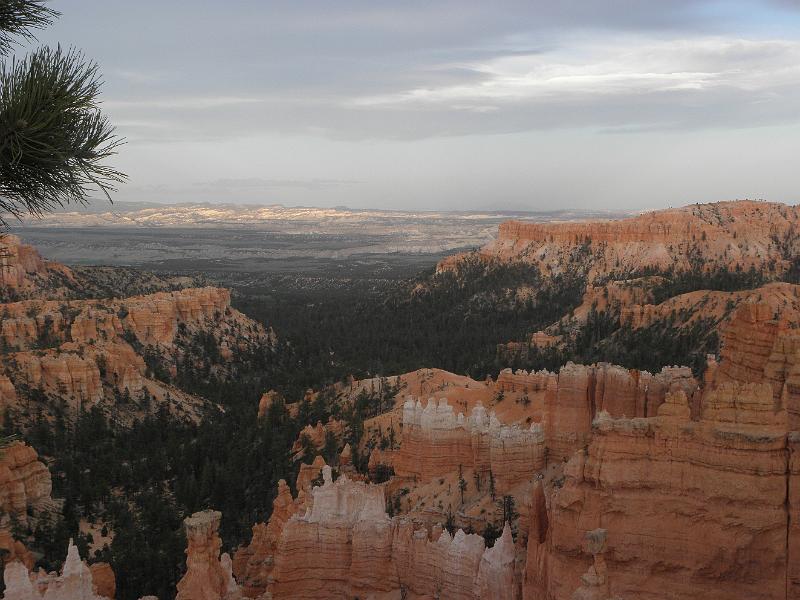 P6111864.JPG
