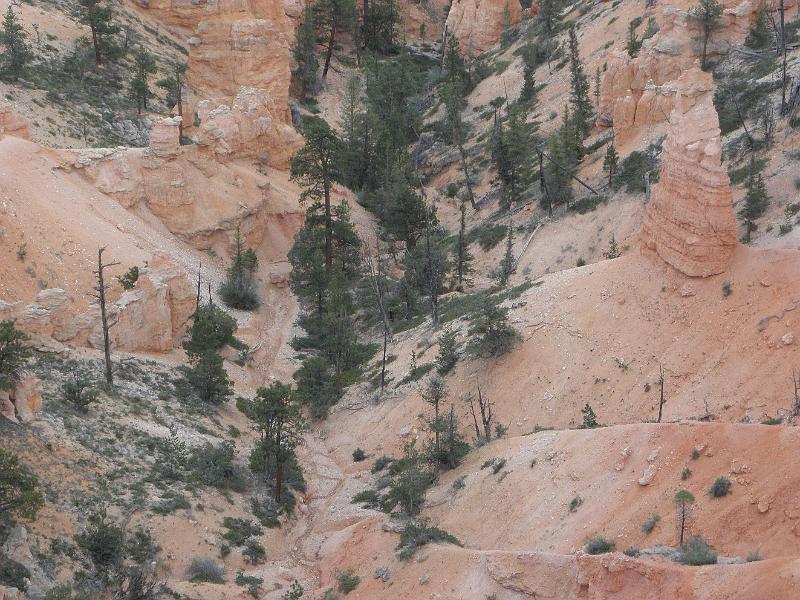 P6111871.JPG