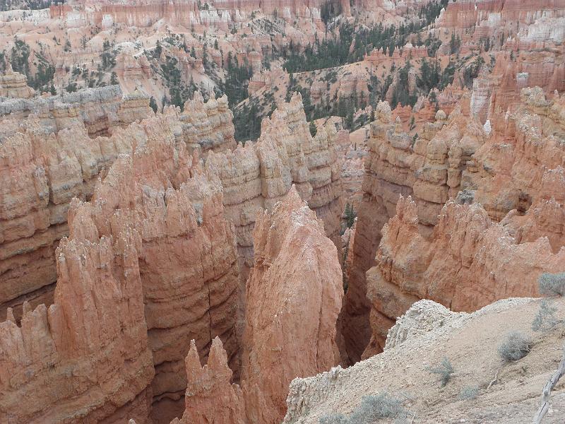 P6111873.JPG