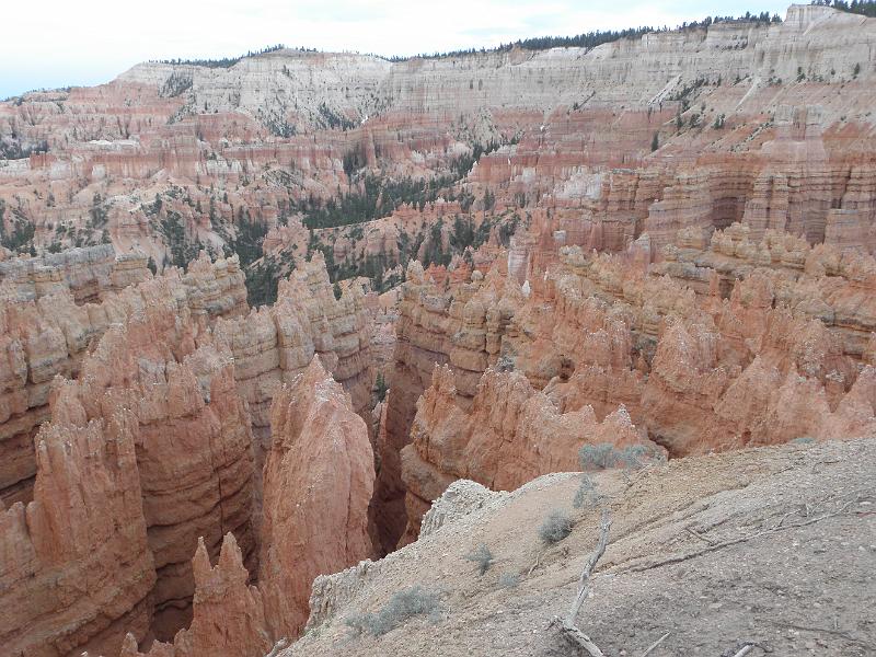 P6111874.JPG