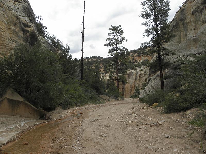 P6111969.JPG