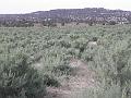 P6111896