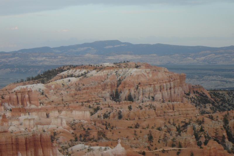DSC05382.JPG