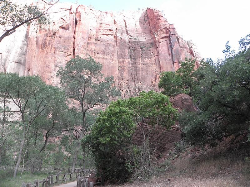 P6122029.JPG