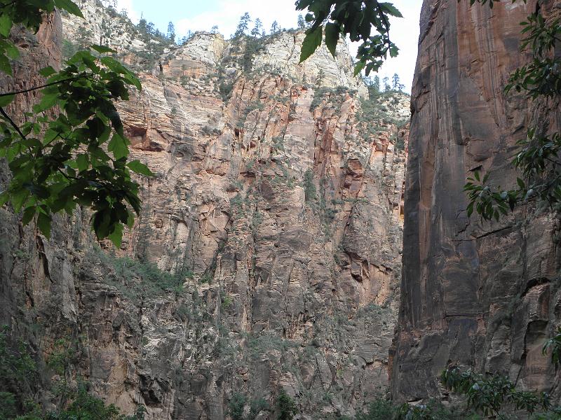 P6122042.JPG