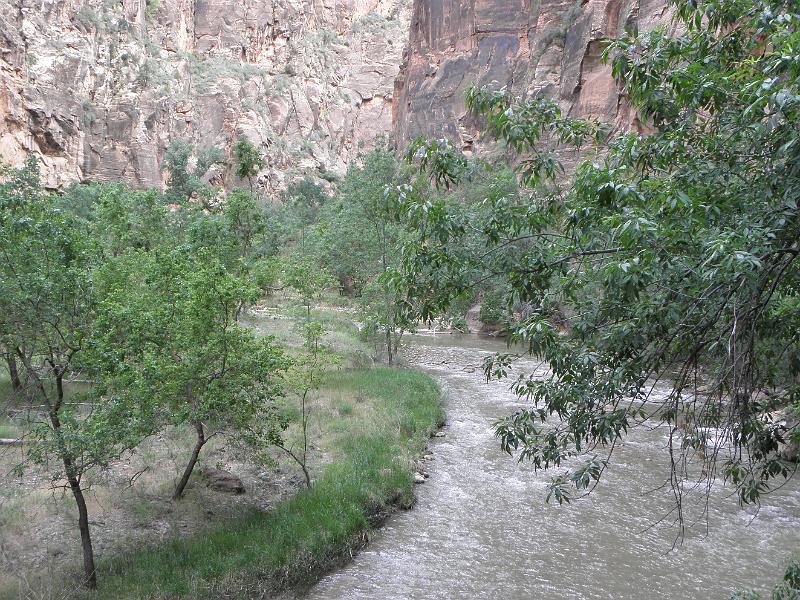 P6122043.JPG
