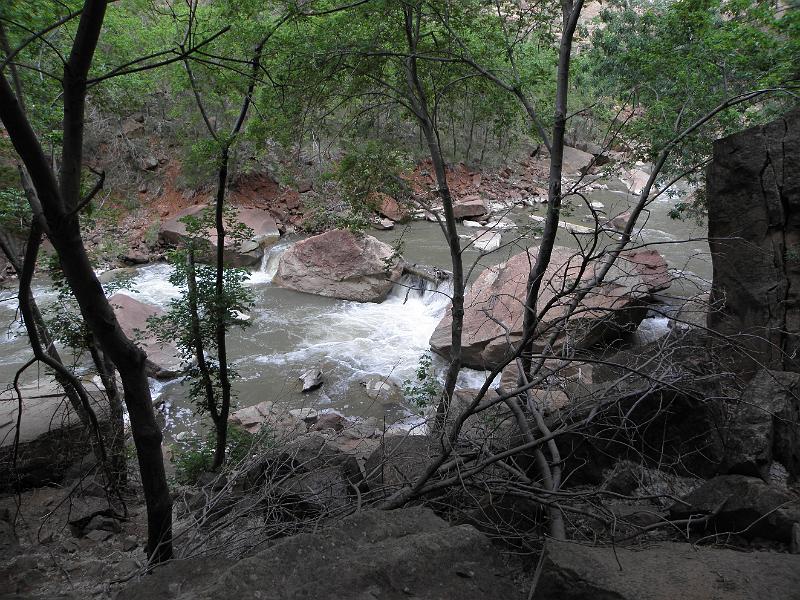 P6122044.JPG