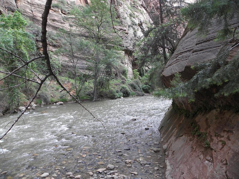P6122045.JPG